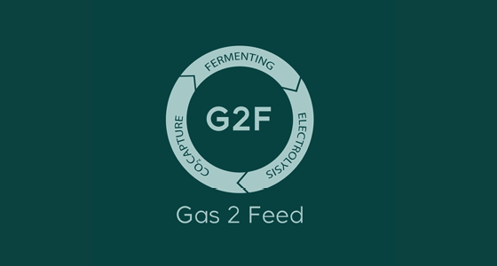 Gas2Feed_Nordic Innovators